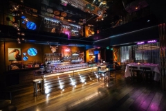 Chamber Music, Opera, Jazz & Live Music, DJs...